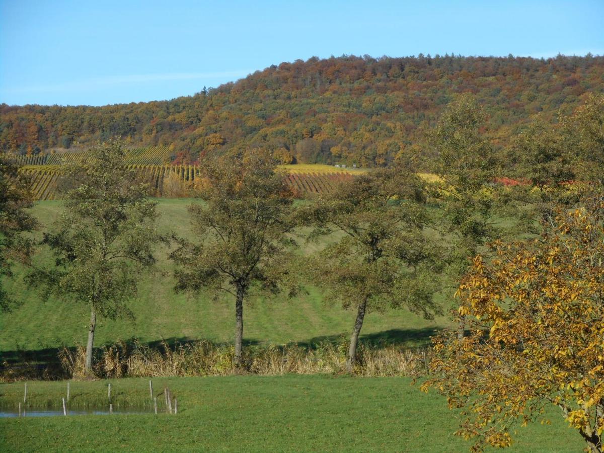 Pension Zur Traube 3 Sterne Oberschwarzach Esterno foto