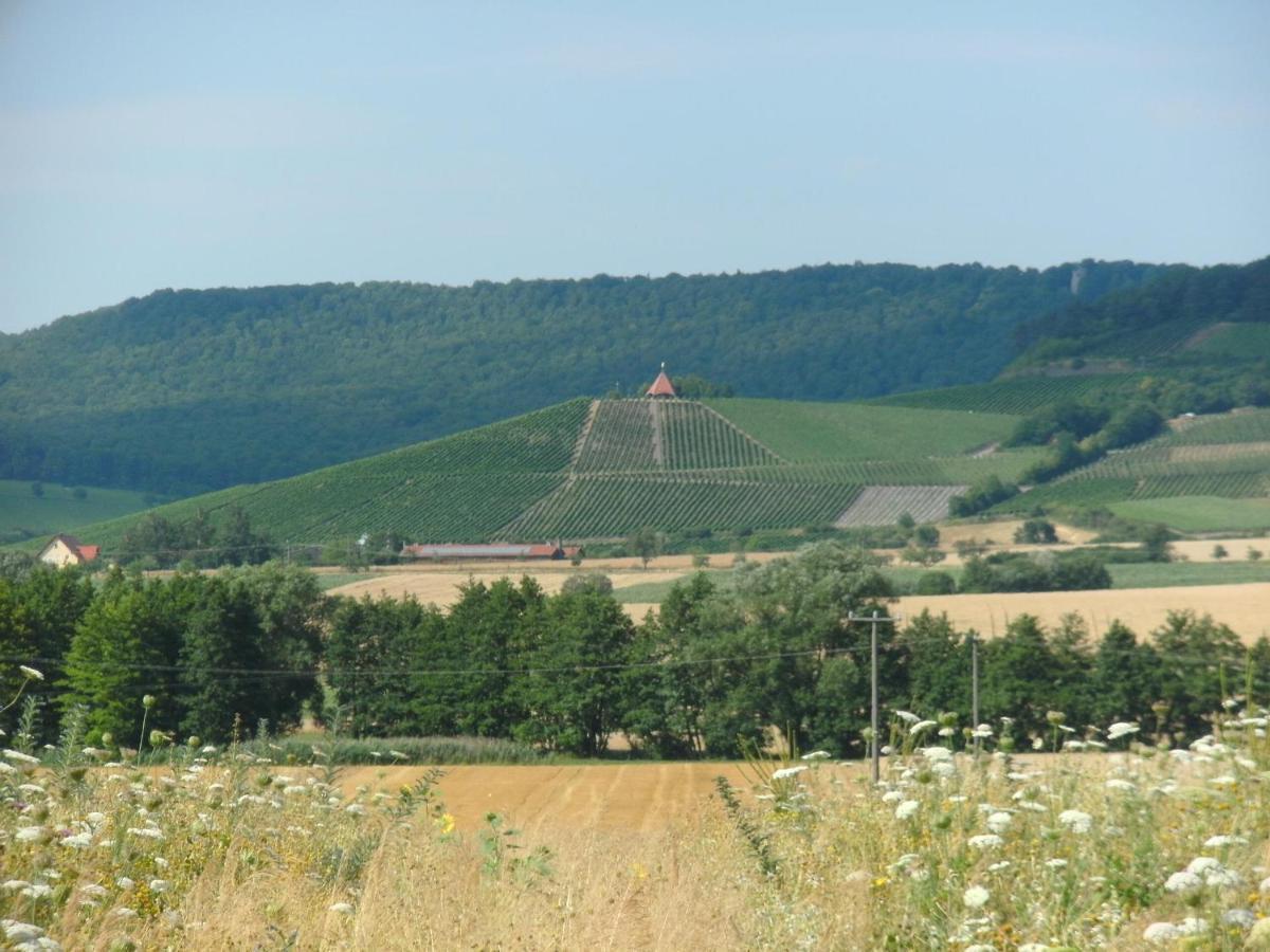 Pension Zur Traube 3 Sterne Oberschwarzach Esterno foto