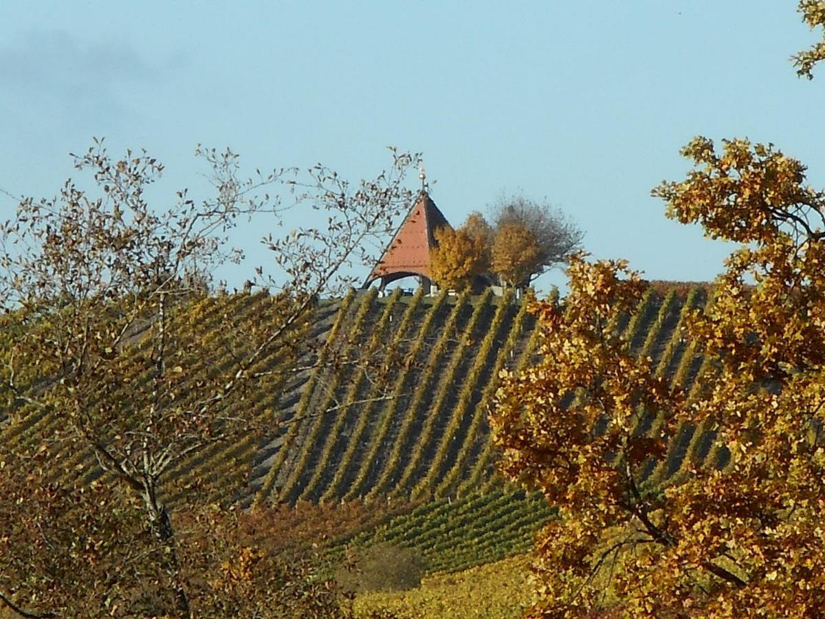 Pension Zur Traube 3 Sterne Oberschwarzach Esterno foto